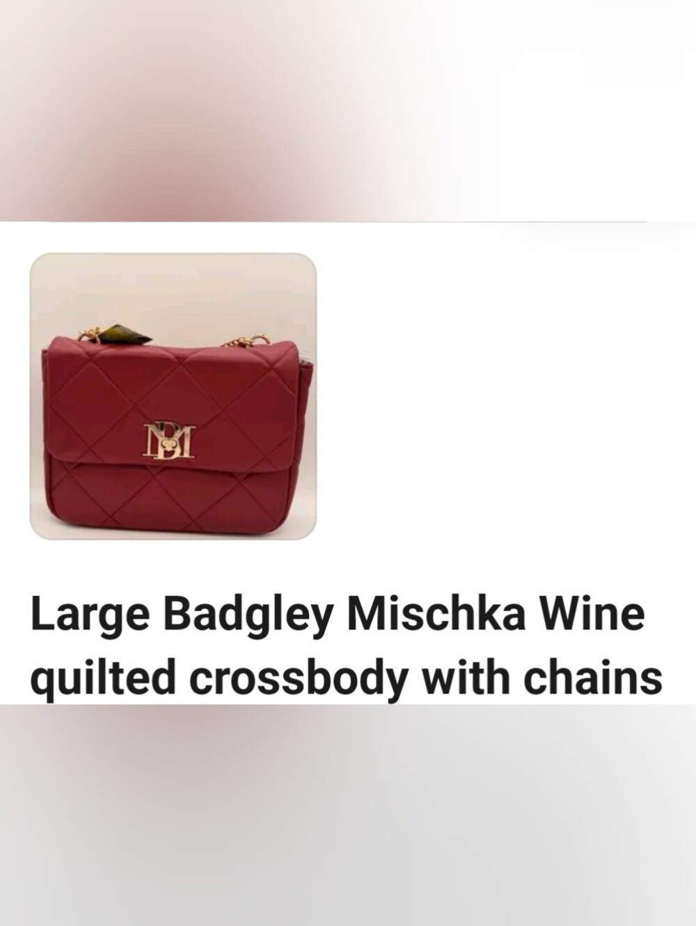 NWT Beautiful large BADGLEY MISCHKA Chain Crossbody/Purse AND BM Card Wallet - Picture 8 of 9